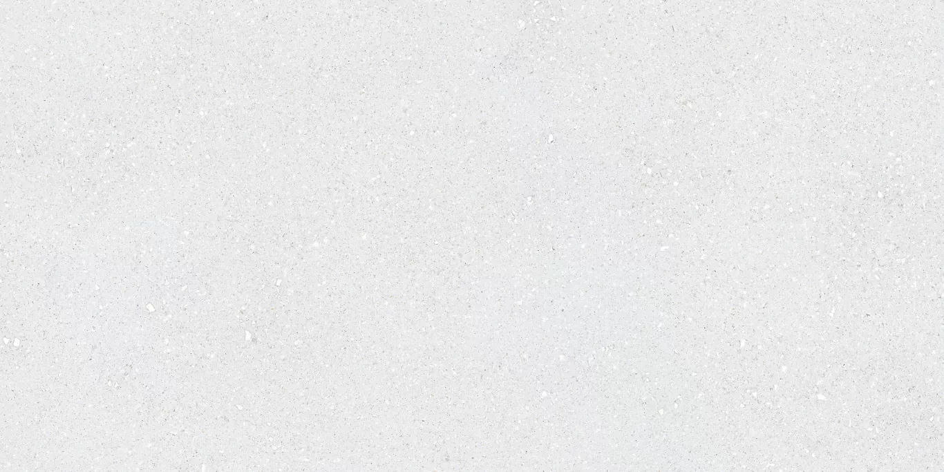 Керамогранит Sassy White Rec 60x120
