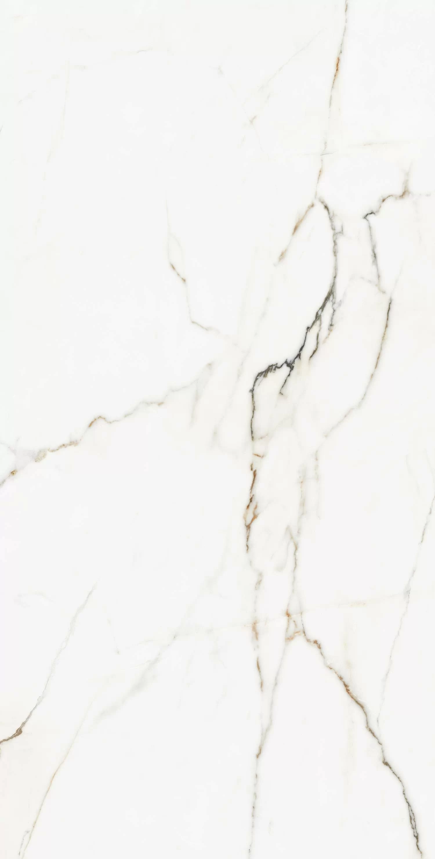 Керамогранит 00-00000245 Calcatta Montreal Polish 60х120