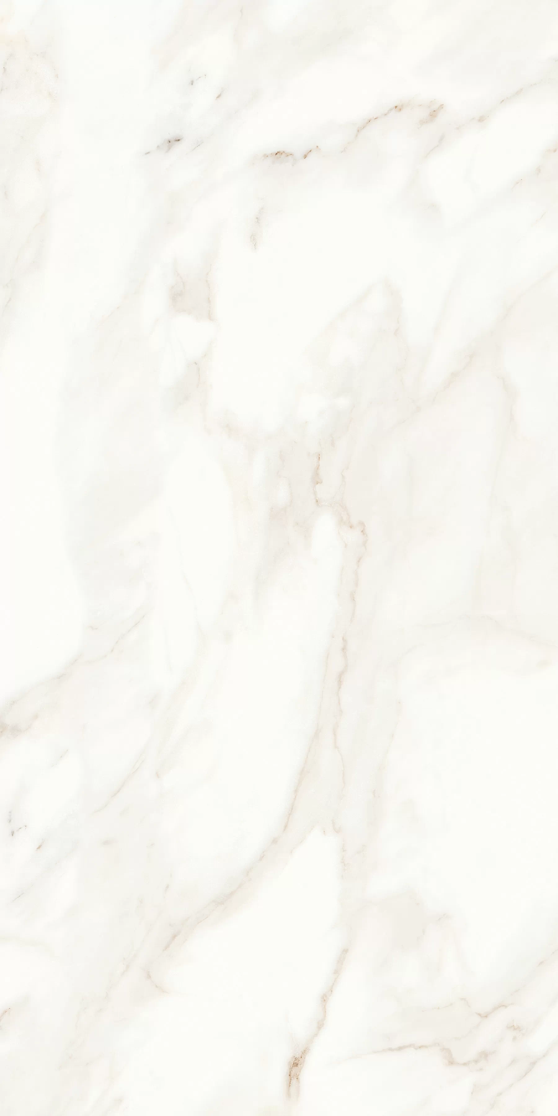 Керамогранит MPL-058622 Calacatta Satin 60x120