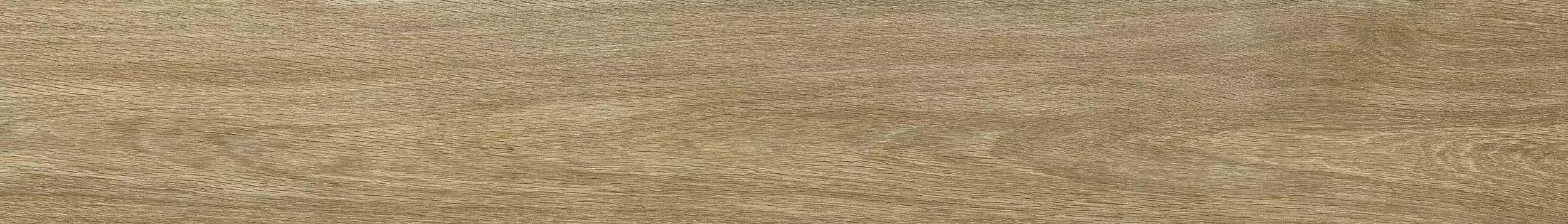 Керамогранит 00R06P13 Woodglam Naturale 10x70