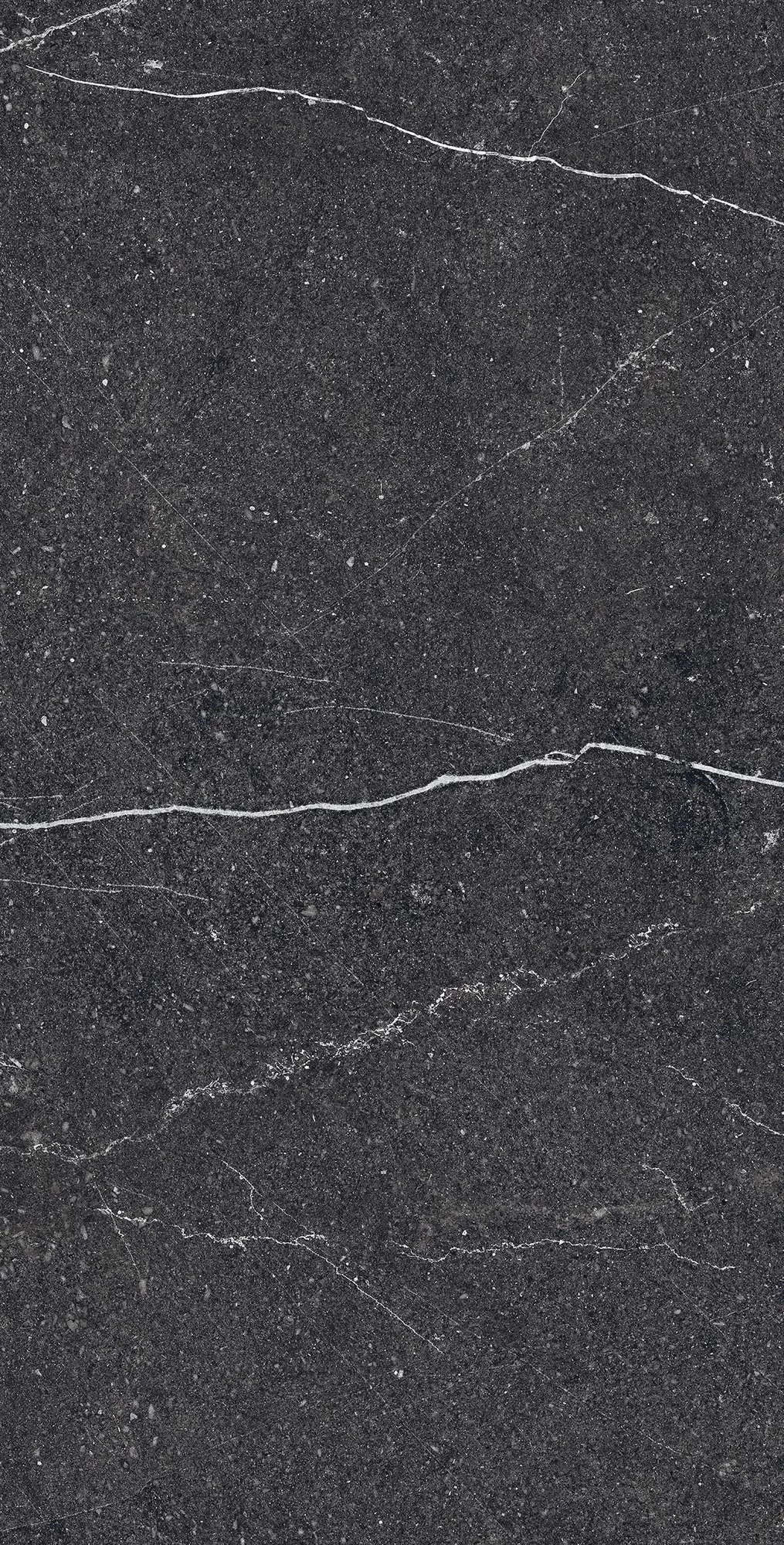 Керамогранит RG6003-A Equistone Charcoal Rotto Glossy Ink 60x120