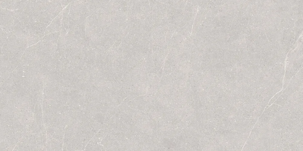 Керамогранит Elenta Ash Carving 60x120