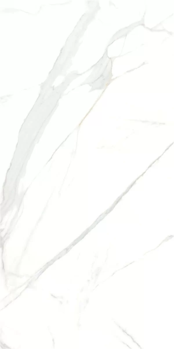 Керамогранит P15006 Royal Marble White Polished Rect 60x120