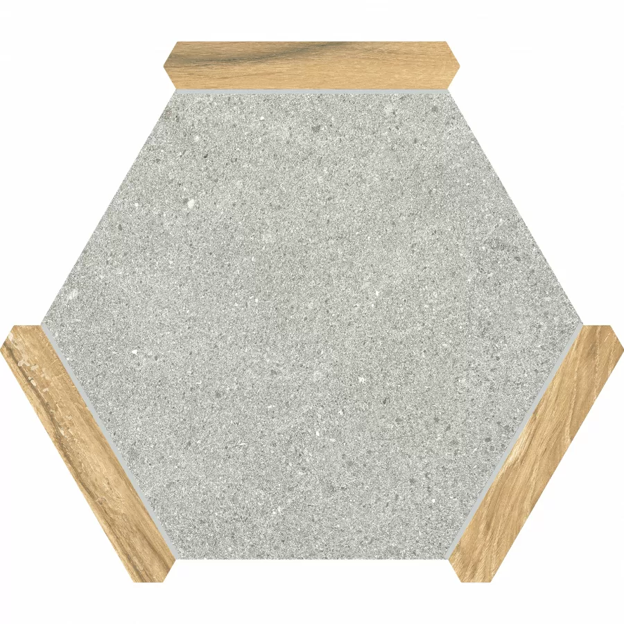 Керамогранит Sacramento Ceniza Pino 22x25