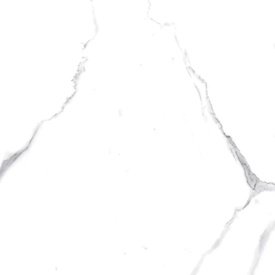 Керамогранит Calacatta Splendid Silver Белый Матовый 60х60