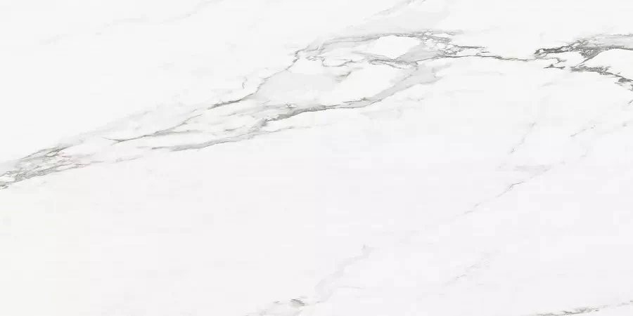 Керамогранит Callacata Silver Rect матовая 60x120