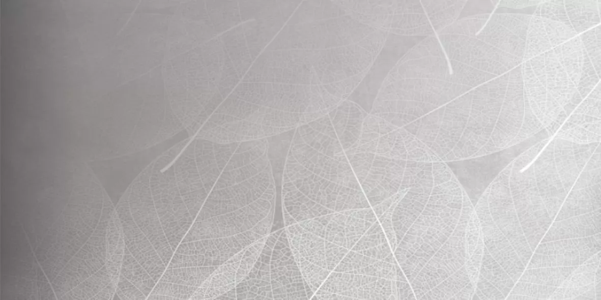 Керамогранит Eleganza Perla Arte Carving 60x120