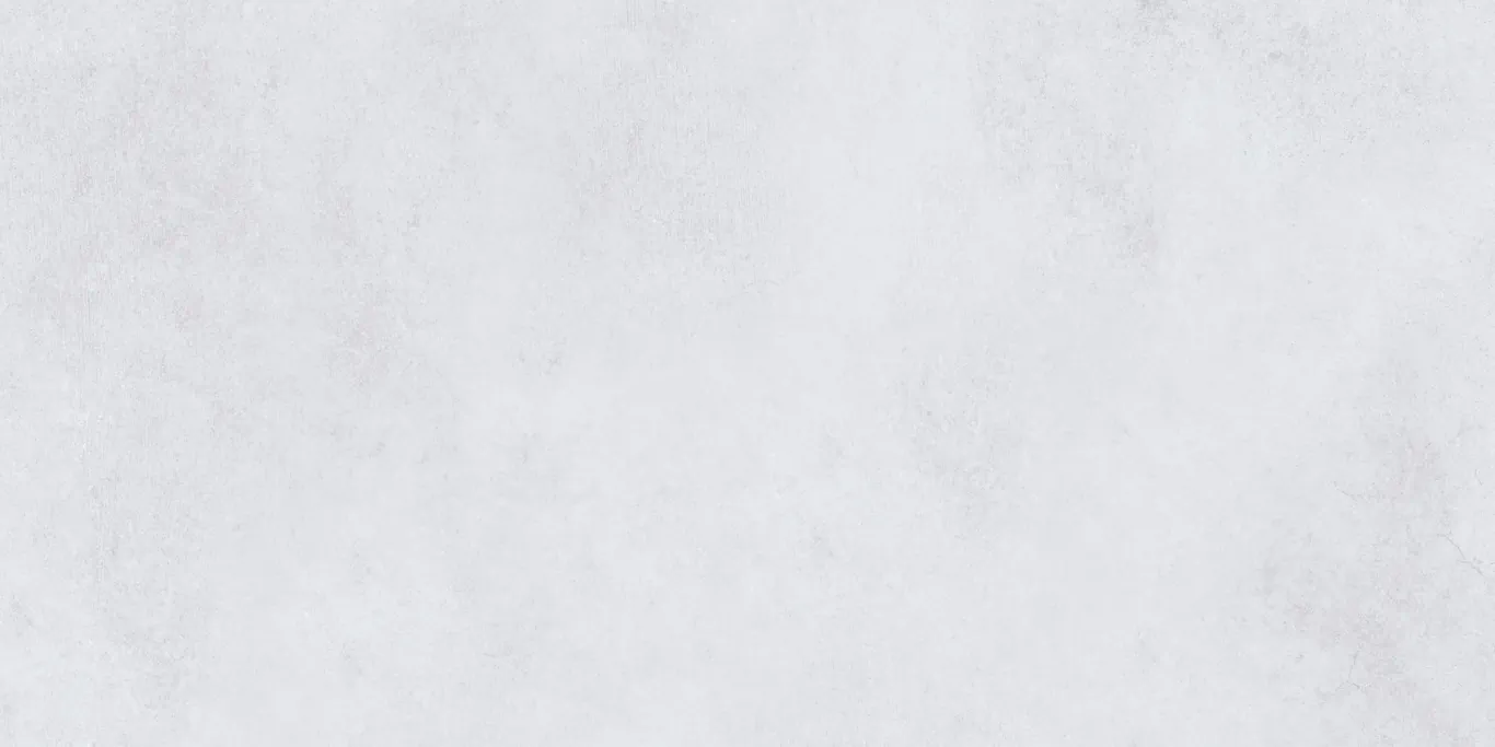 Керамогранит SI006012N Silent Grey 60х120