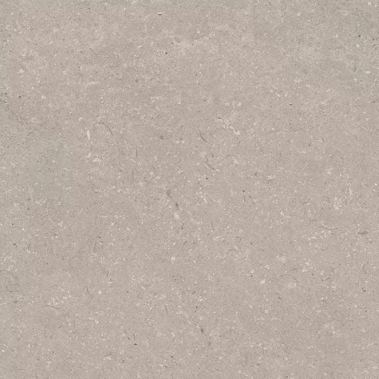 Керамогранит 100330200 Coral Topo L 80x80