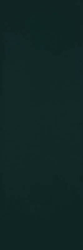 Плитка Urban Colours Green Rekt 29.8x89.8