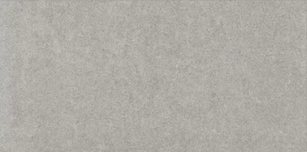 Керамогранит DAPSE634 light grey lapp 30x60