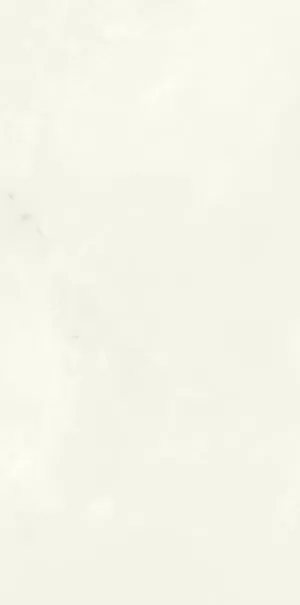 Керамогранит PK612400 Onice Bianco Extra Lev Silk 60х120