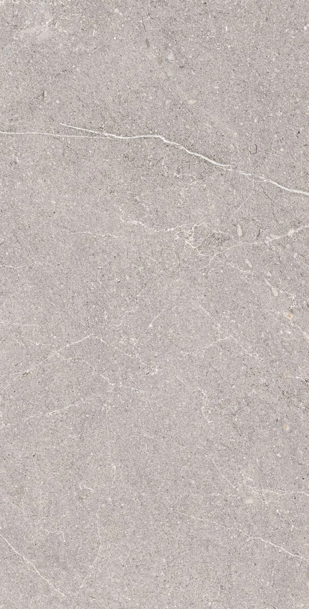Керамогранит RG6001-A Equistone Gris Rotto Glossy Ink 60x120