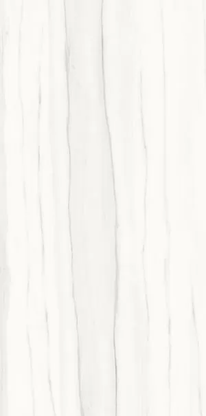 Керамогранит P612517 Zebrino Bianco Soft 60x120