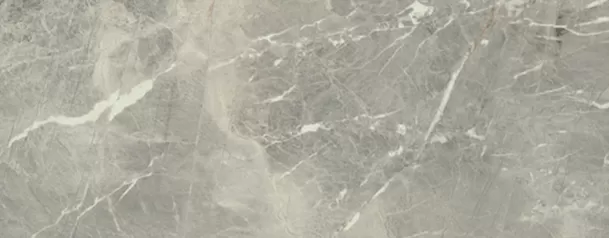 Керамогранит 1330 GRIS RECTIFICADO 50x129,5