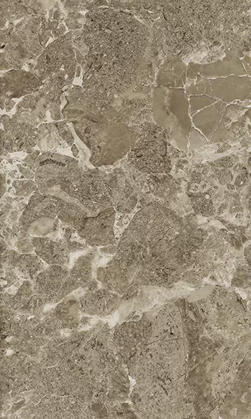 Плитка Saloni brown 02 30*50