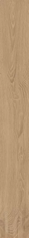 Керамогранит AV02 Alavesa Rusty Beige Неполированный Рект. 19,4x160x11