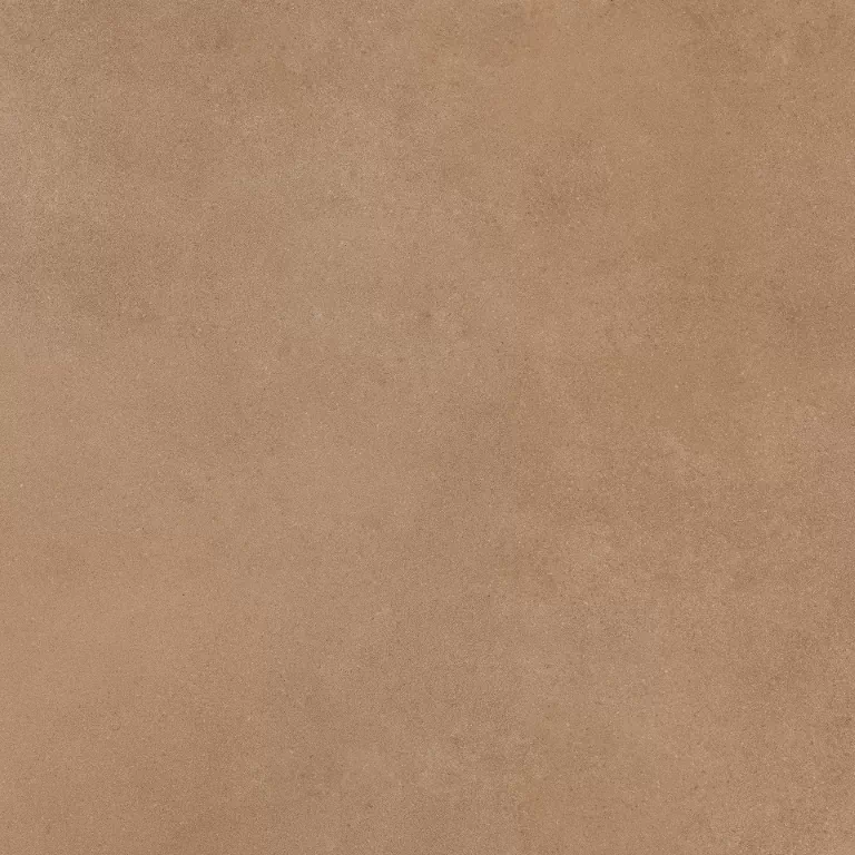 Керамогранит Mediterranea Coral PW R 60x60