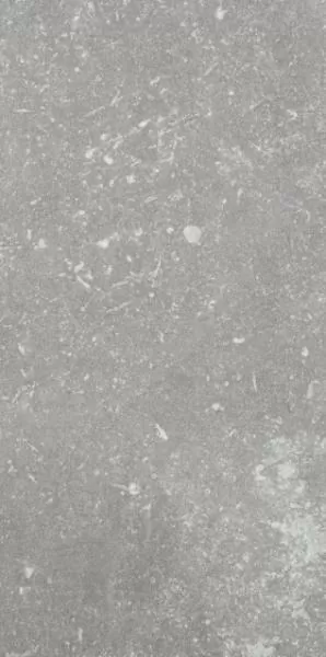 Керамогранит 1076235 Ardenne Grigio 20x40