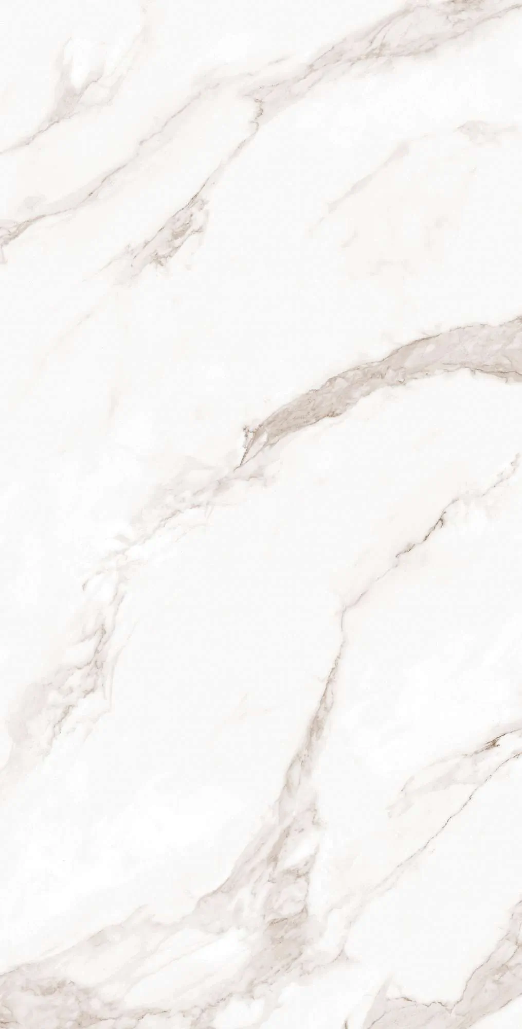 Керамогранит FP1019-A Calacatta Bianco Full Polished 60x120