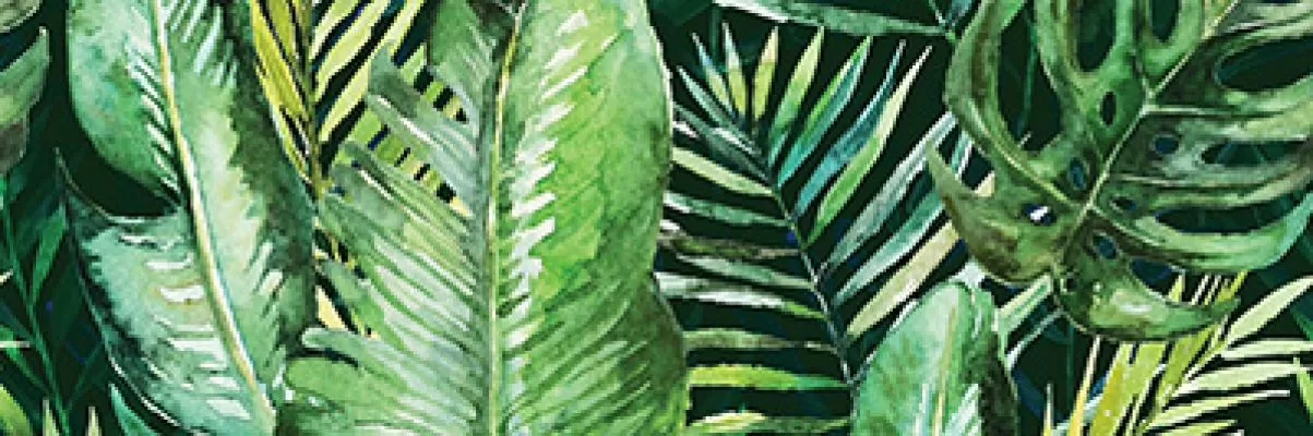 Плитка Braga Tropic A Rect 25x75