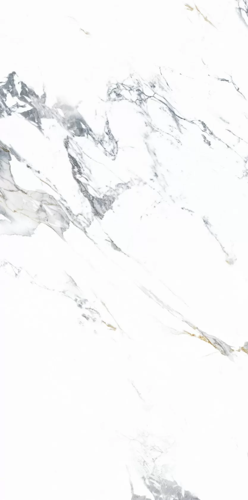 Керамогранит NTT3003P Arabescato 120x240