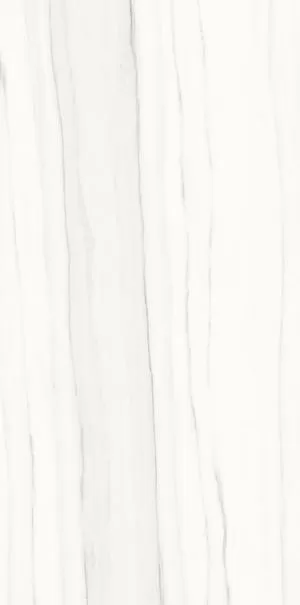 Керамогранит P612517 Zebrino Bianco Soft 60x120