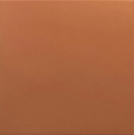 Керамогранит 30718 Rivoli Terre 20x20