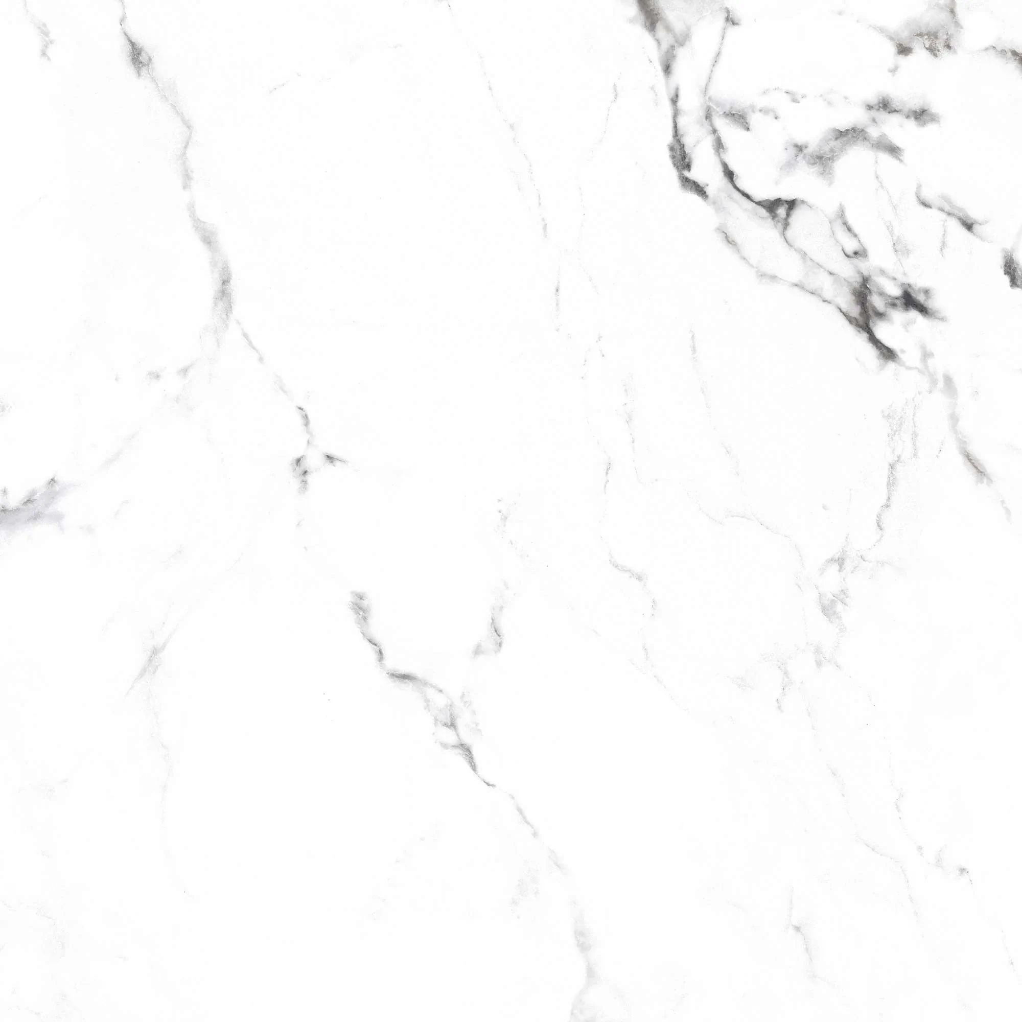 Керамогранит CR4006-A Borghini Silver Carving 60x60