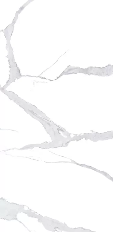 Керамогранит NTT3008P Bianco Statuario 120x240