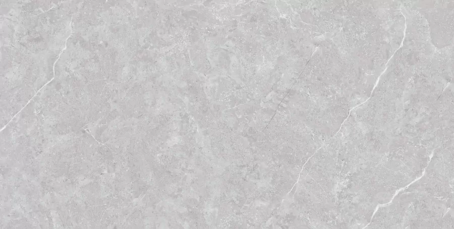 Керамогранит N20436 Tokyo Grey Matt 60x120