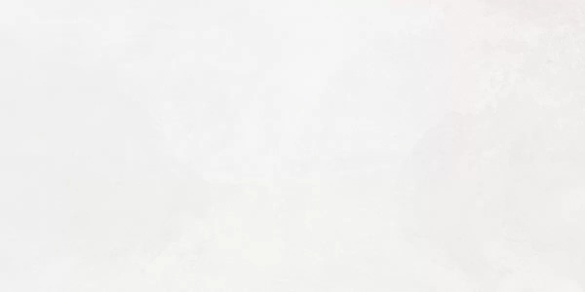 Плитка 48030R Evolution blanco матовый обрезной 40x80