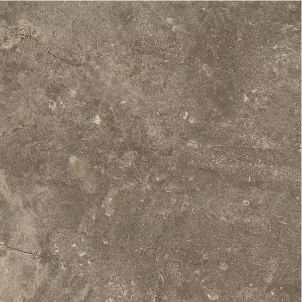 Керамогранит 610010001441 Червиния Земля 45x45