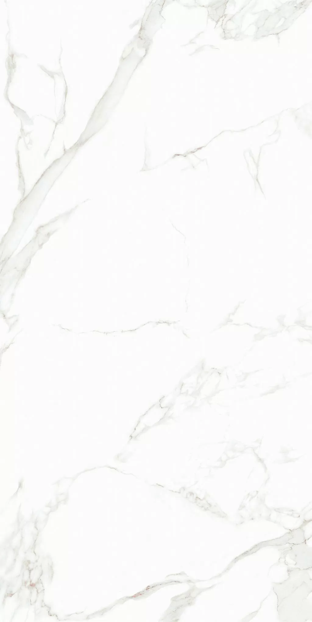 Плитка 0005 Amuletto White 25x50
