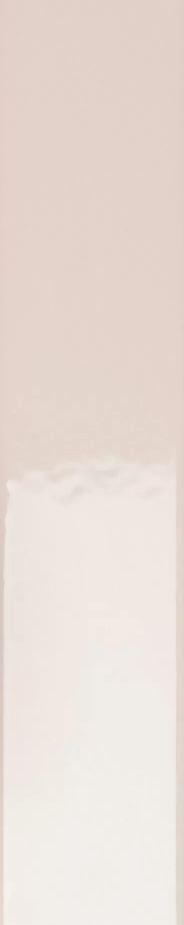 Плитка 4100724 Rose Glossy 5x25