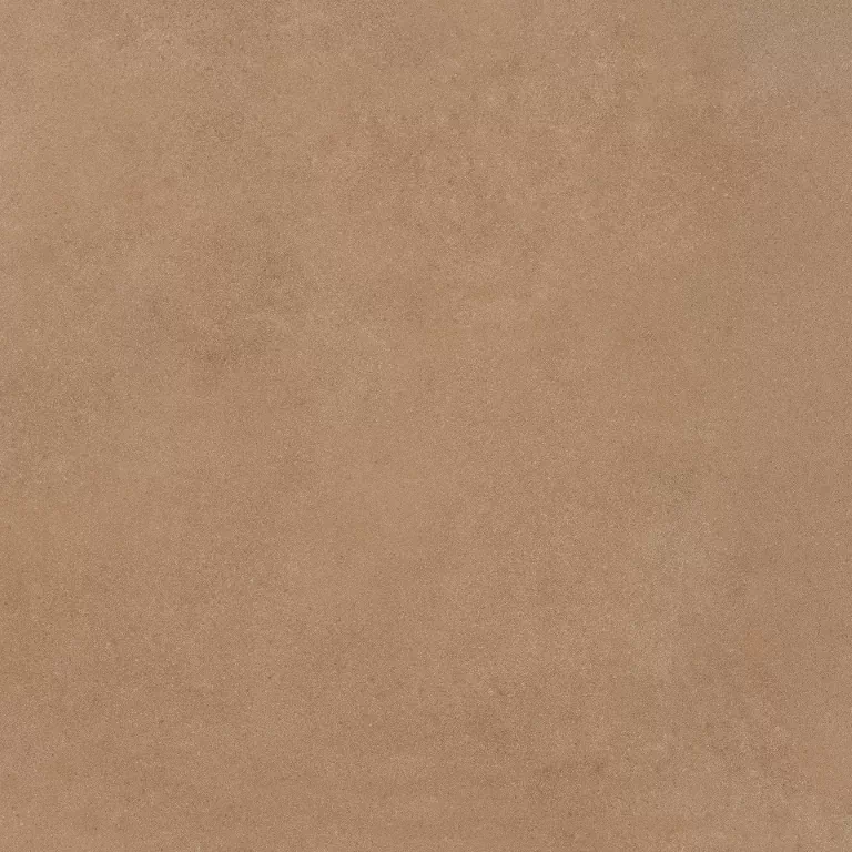 Керамогранит Mediterranea Coral PW R 60x60