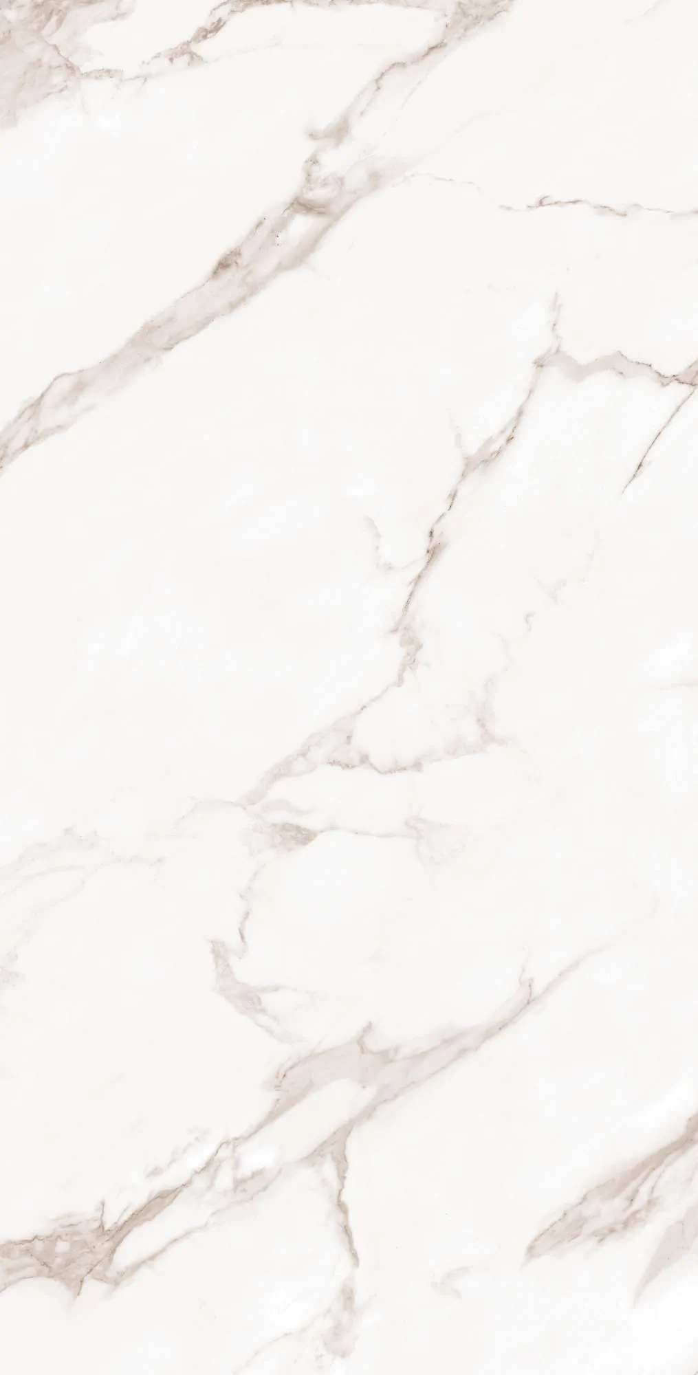 Керамогранит FP1019-A Calacatta Bianco Full Polished 60x120