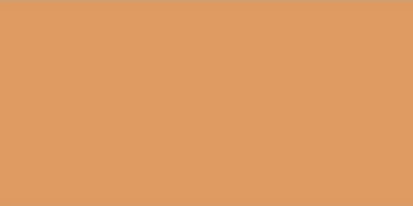 Плитка GAAD8150 Color Two 10*20