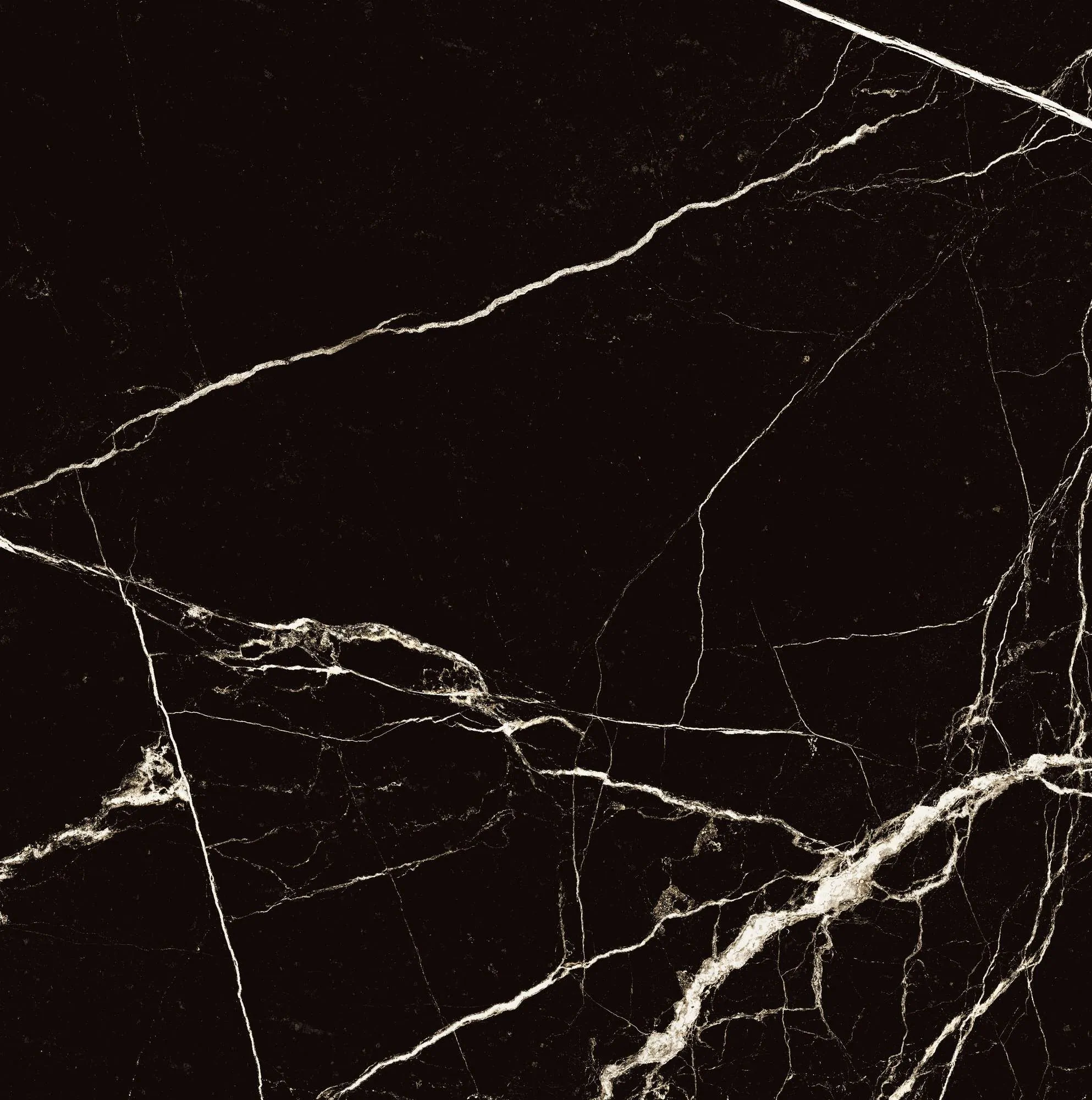 Керамогранит HG2008-A Black Spinder High Gloss 60x60