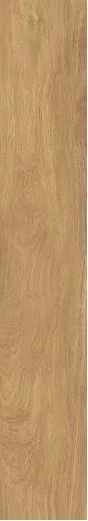 Керамогранит BNS212003 Ocher 20x120