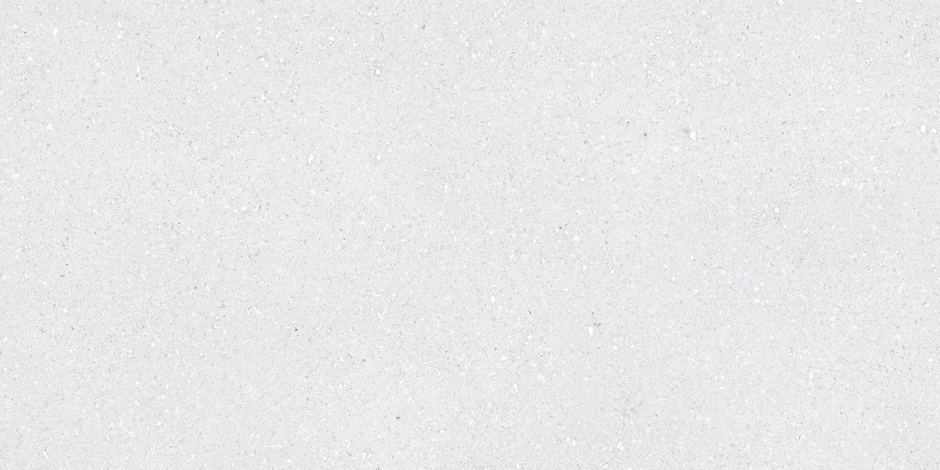 Керамогранит Sassy White Rec 60x120