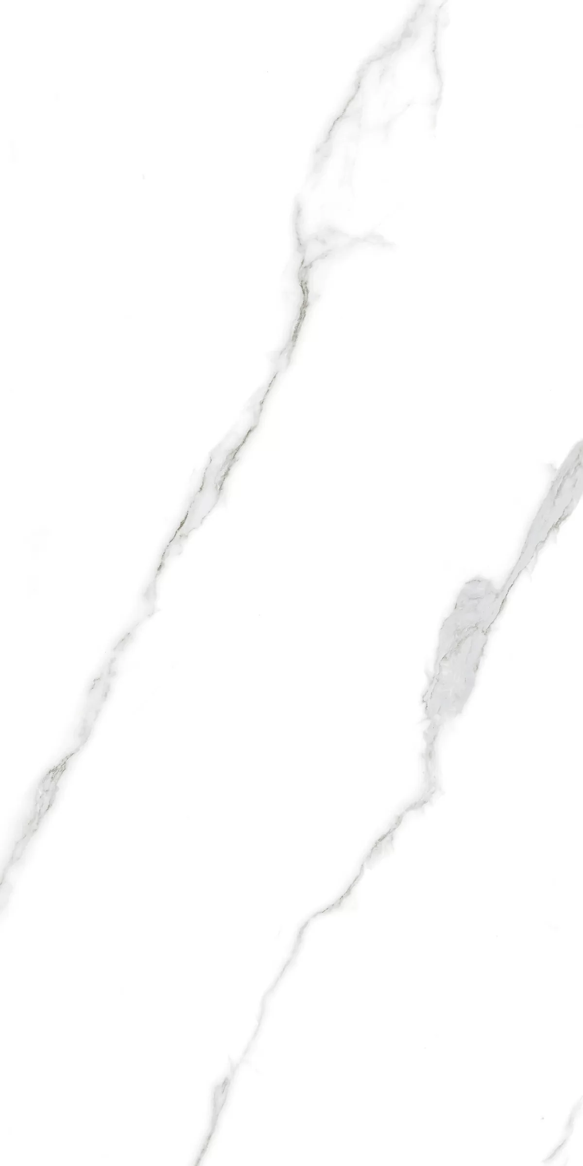 Керамогранит 897 Perla Blanco 120x60