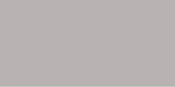 Плитка GAAD8110 Color Two 10*20