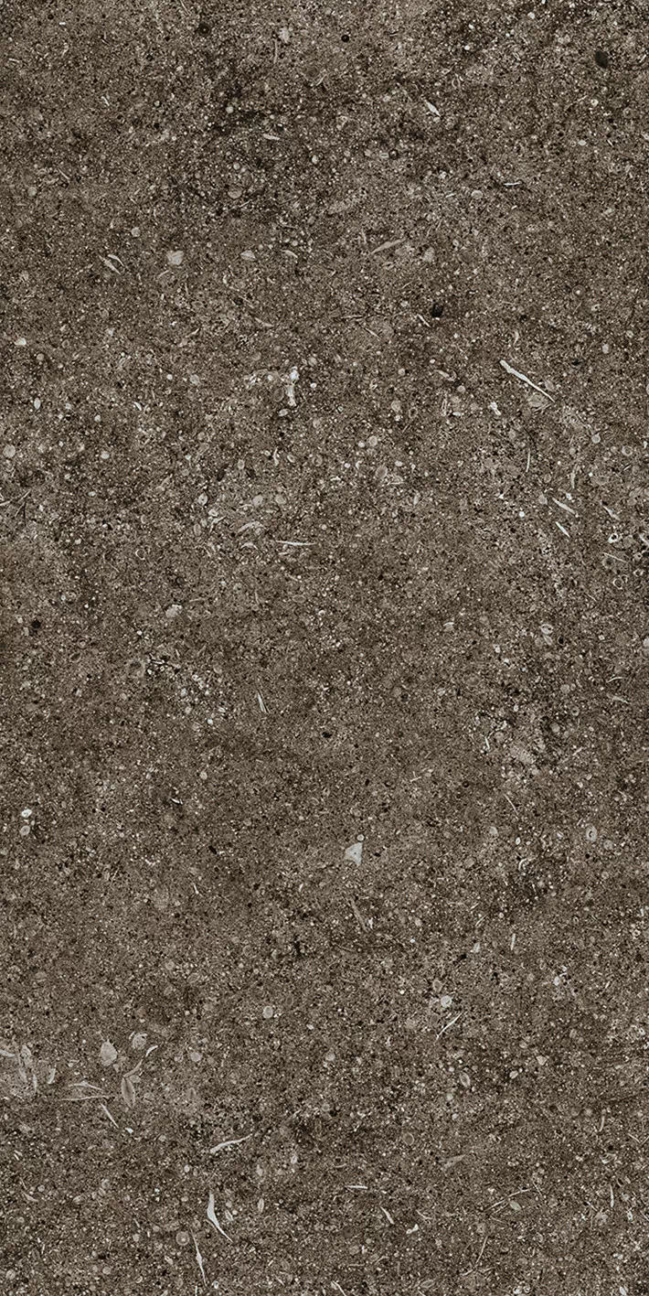 Керамогранит 768354 Sensi Brown Fossil R+PTV Ret 40x80
