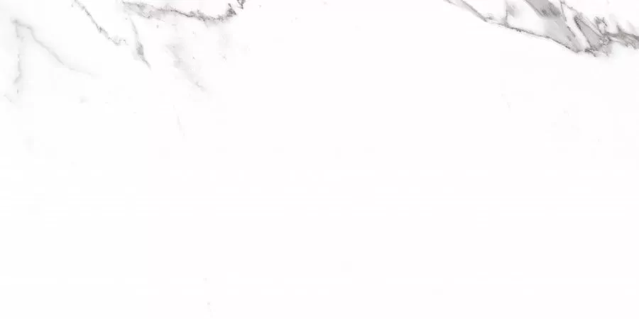 Керамогранит Carrara Rect матовая 60x120