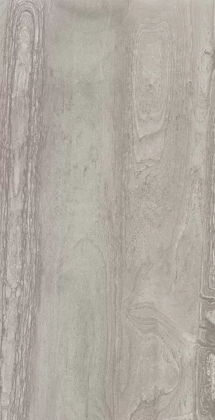 Керамогранит RDKA 12G LP Grey 60x120