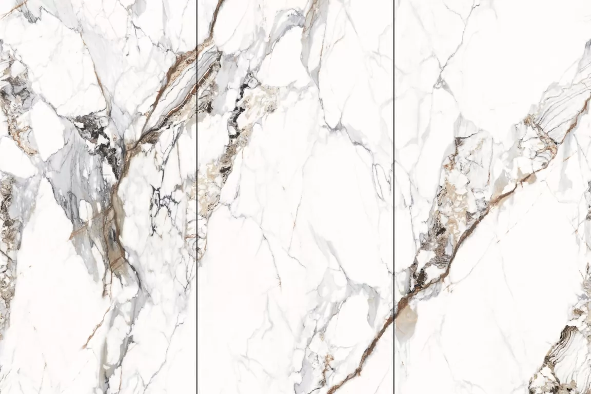 Керамогранит NTT3005P Breccia Capria 120x240
