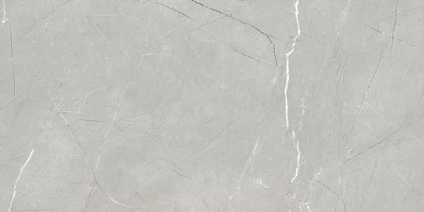 Керамогранит Larice Grey 60x120