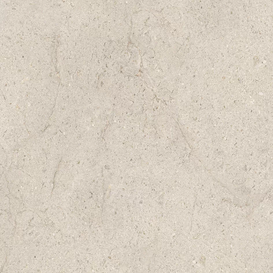 Керамогранит 100348054 Dorcia Bone L 80x80