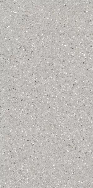 Керамогранит FP12618 Ash Honed 60x120